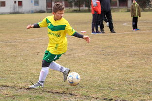 九游官网首页-中超冠军梦碎后，蓉城要在亚洲赛场重塑信心，中甲成都蓉城今天比赛结果